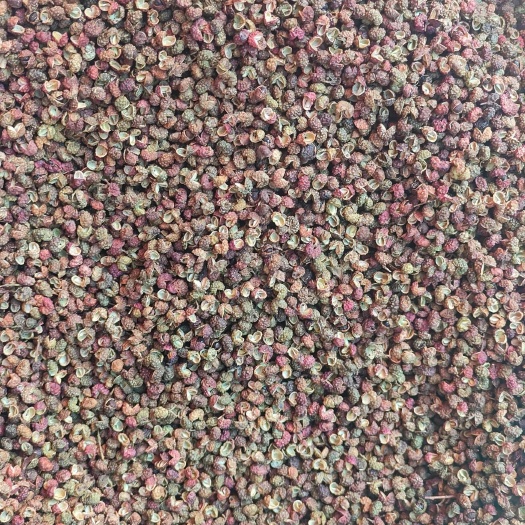 贞丰县青花椒
