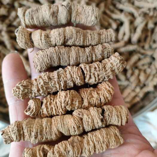 巴戟天《精选特大》抽芯巴戟天肉干货，快递包邮