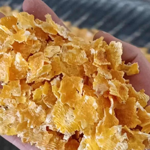 疏附县玉米压片：牛羊猪适用于所有牲畜