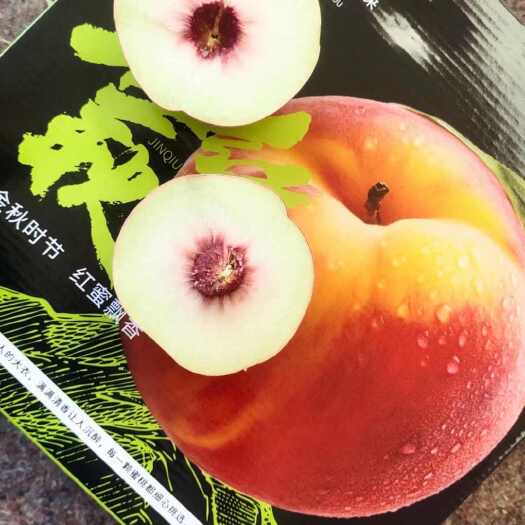 蒙阴县山东金秋红蜜一件代发代收代发，产地直发