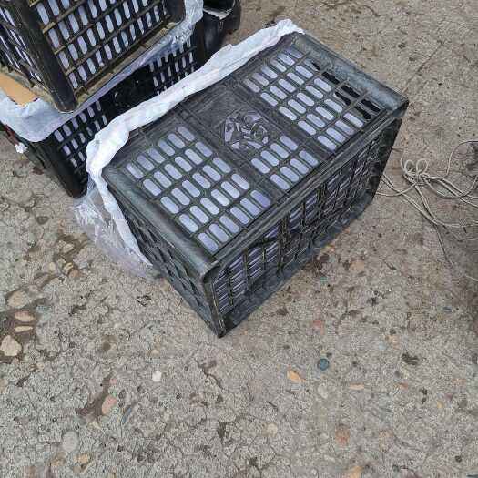 资中县果筐黑色果筐瓷白亮白各种筐型