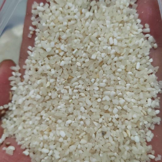 巢湖大量出货23年籼碎，粳碎，小碎，现货2000吨