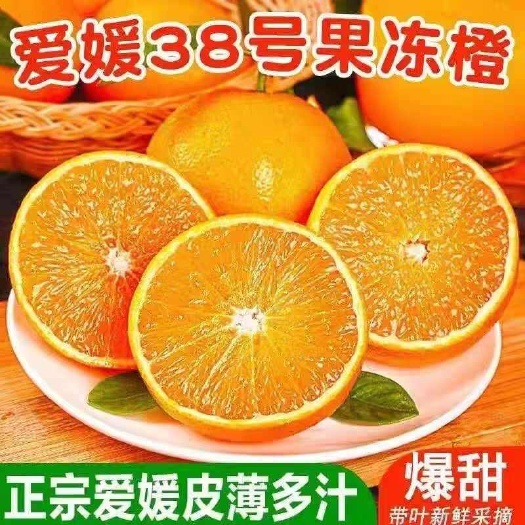 秭归县爱媛橙  爱媛果冻橙，个大皮薄，汁多纯甜