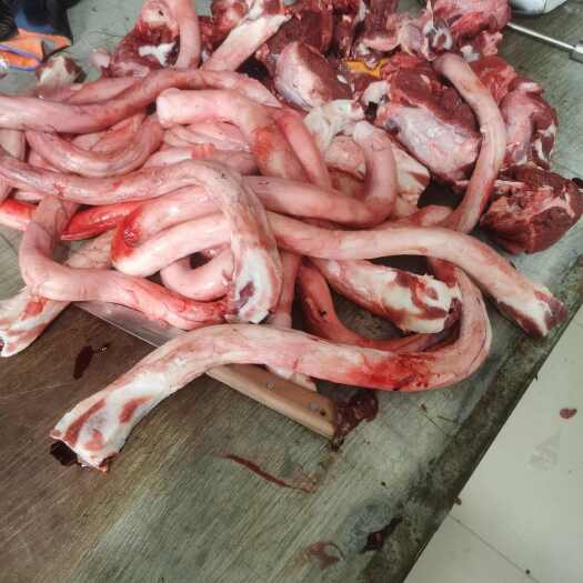 郑州精修国产大牛鞭，去肉头纯净鞭