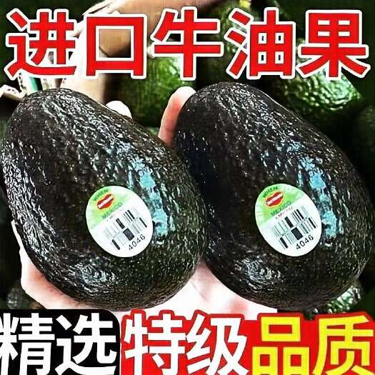 嘉兴牛油果新鲜水果应当季整箱宝宝辅食熟透即食鳄梨孕妇大果包邮