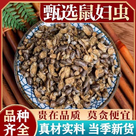 鼠妇虫中药材  规格齐全 批发零售