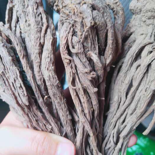 陇西县岷县无硫当归