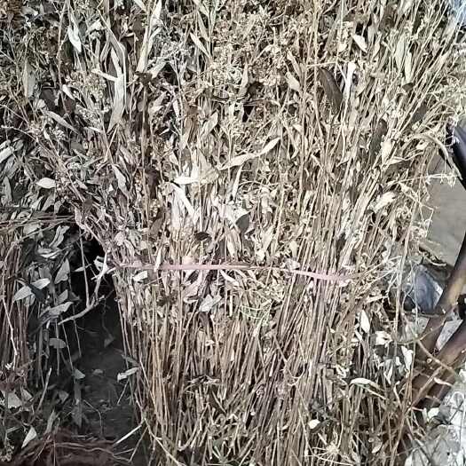 广南县羊耳菊全草机压件13吨左右