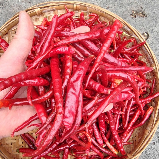 昆明（包邮）云南丘北椒/2024新货