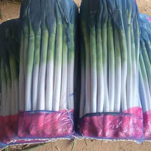 精品长白大葱，产地直发各大市场商超学校食堂，质量有保证