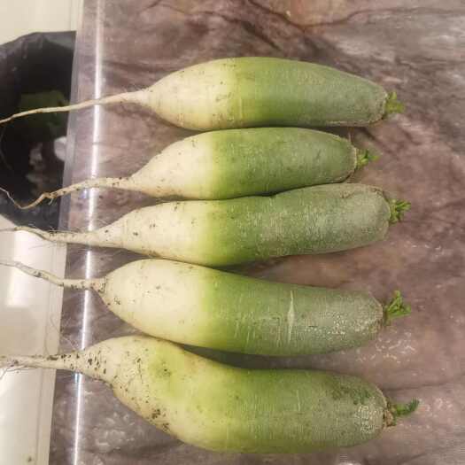 长春水果萝卜。