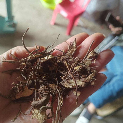 南召县威灵仙一一一批发