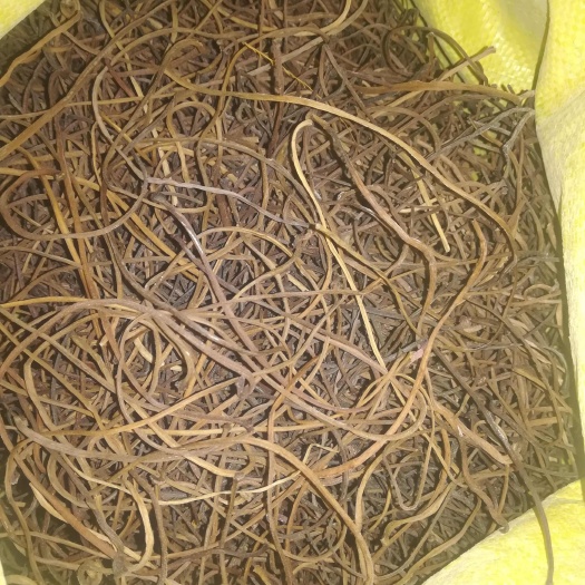 泽州县红薯梗