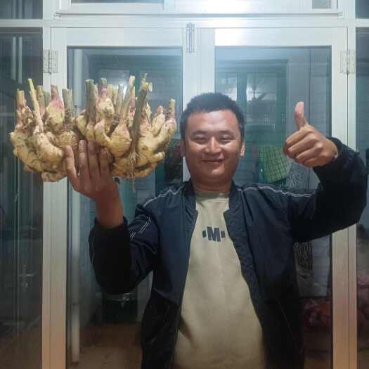 济南山东大姜。有想法的老板请联系