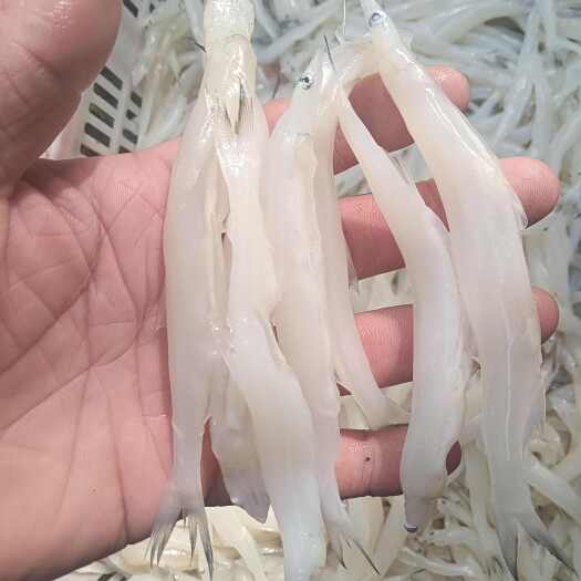 胶州市质量很好。解冻质量和鲜货一样。