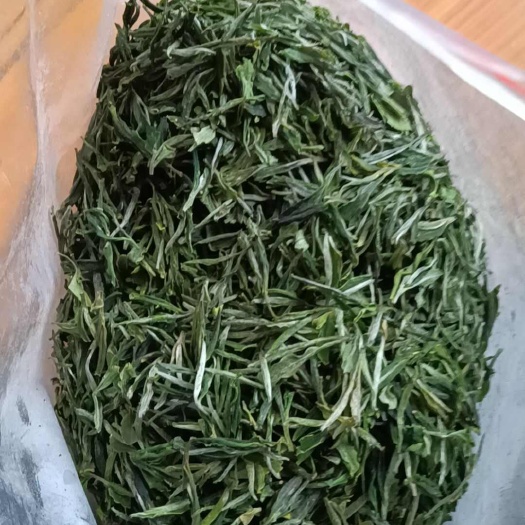 大悟县大悟明前茶