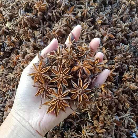 玉林新货水烫无硫大红八角