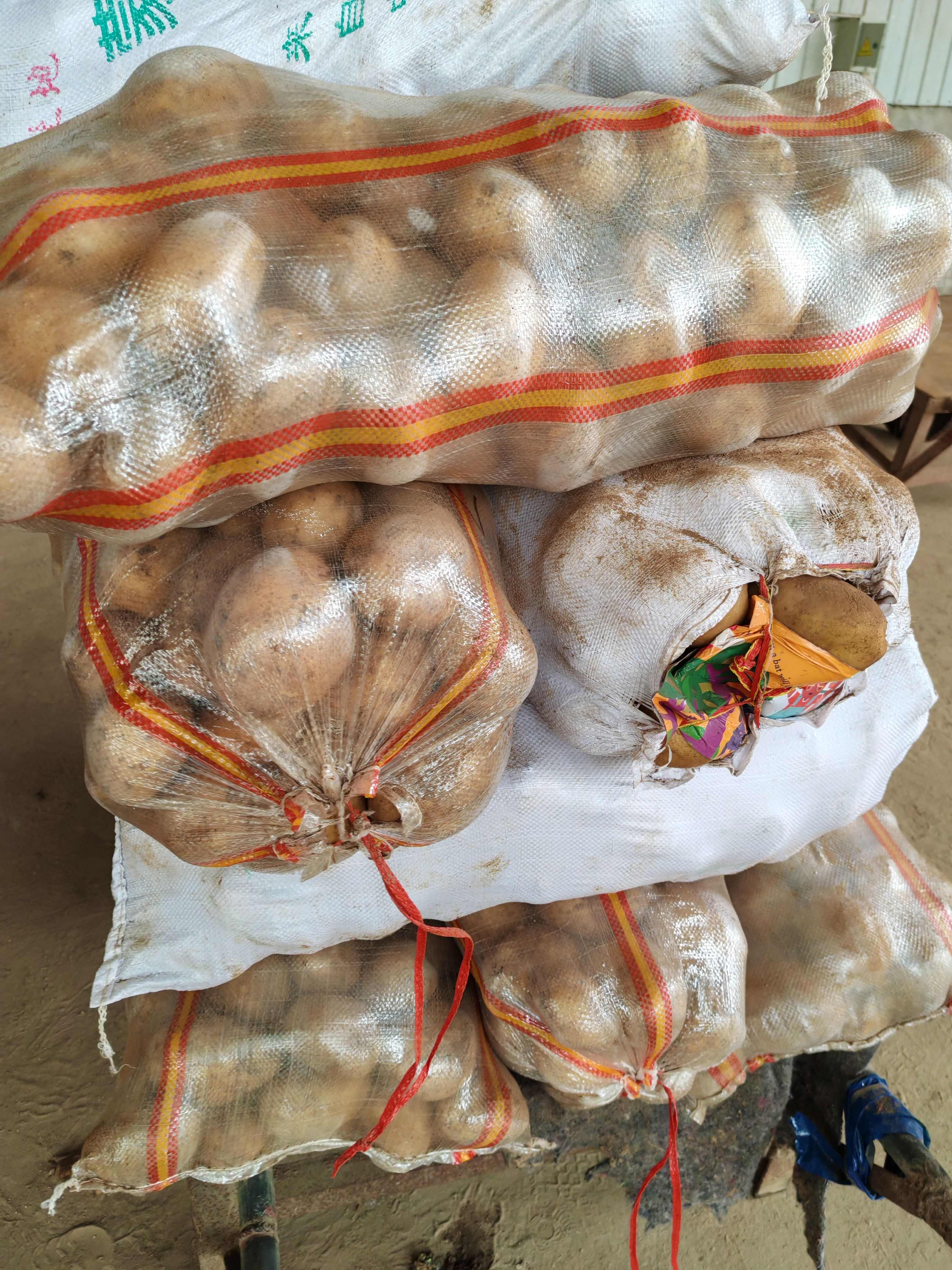 山东土豆内蒙土豆，济南，平阴土豆大量批发价格实惠。