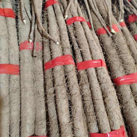 大名县有货我这里有山药大量供应质量特别好常年供应各大商超批发市场。