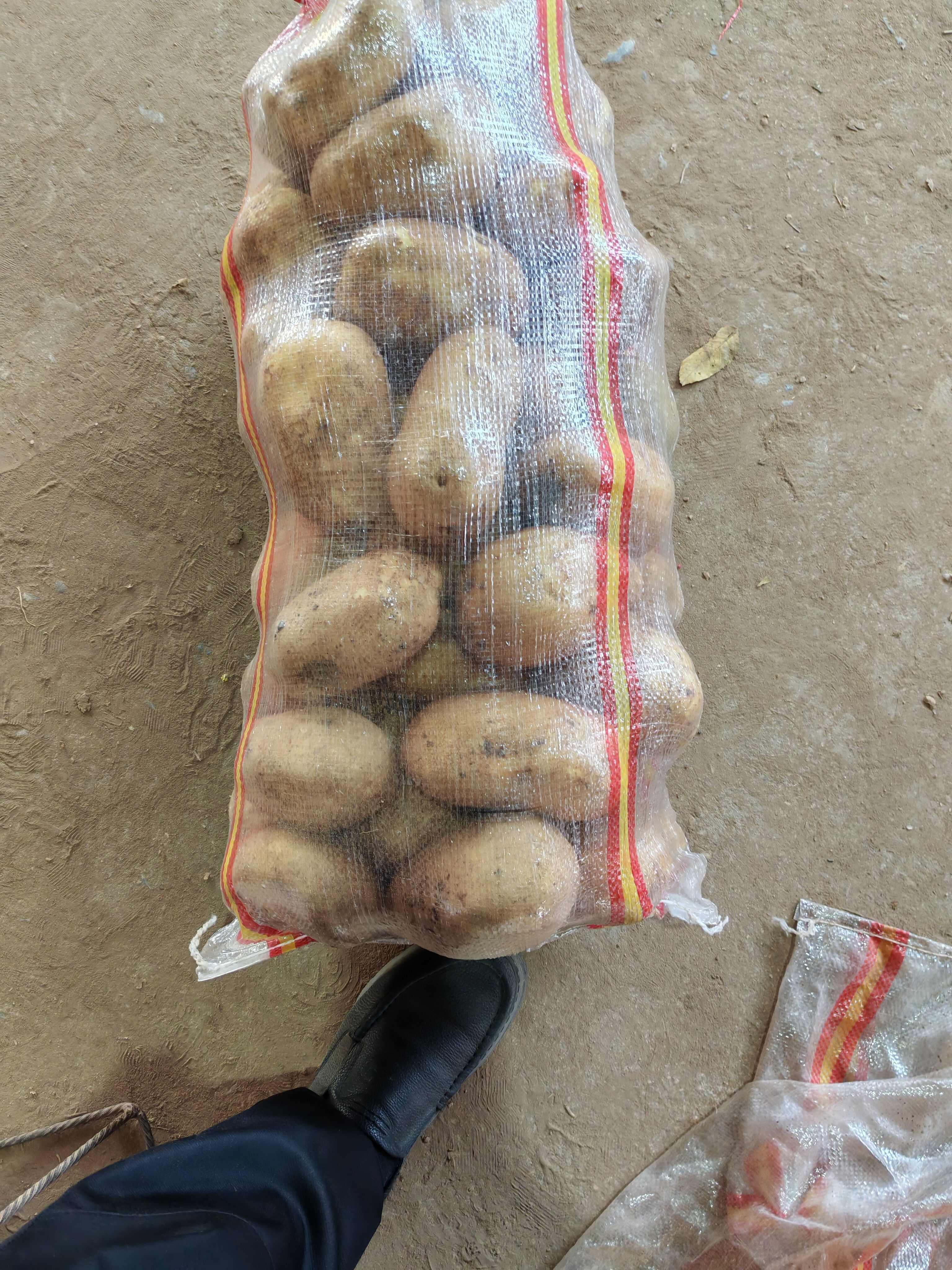 山东土豆内蒙土豆，济南，平阴土豆大量批发价格实惠。