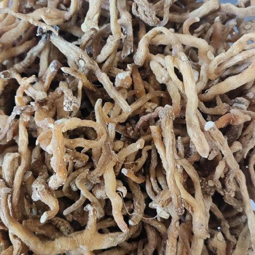 玉竹湖南玉竹个玉竹干货小玉竹一手货源长期供应大货