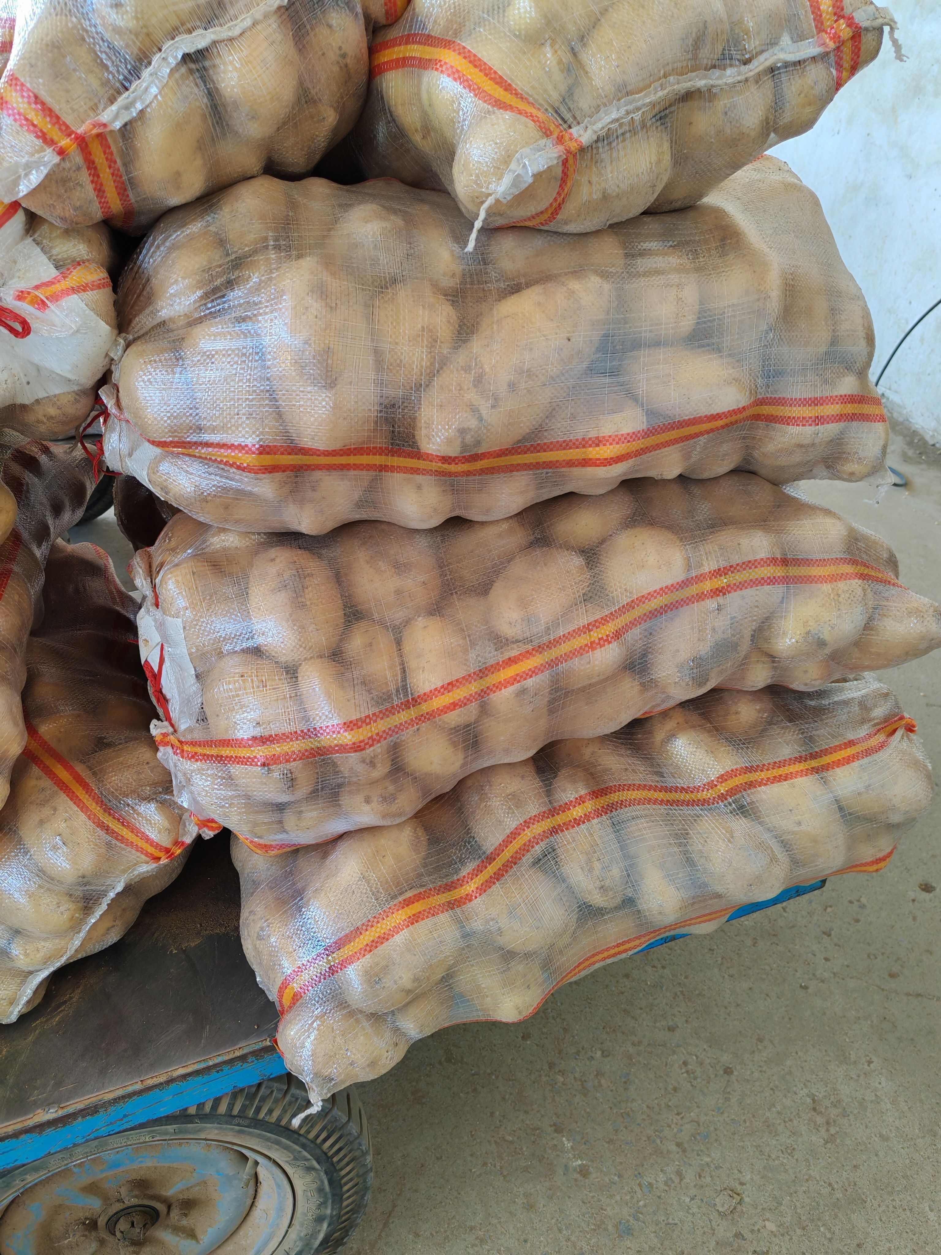 山东土豆内蒙土豆，济南，平阴土豆大量批发价格实惠。