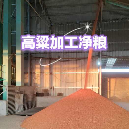 東北高粱?釀酒，釀醋，量大從優(yōu)