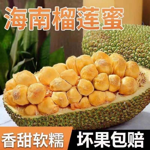 海南糟粕醋海南榴莲蜜一件代发！常年有货！