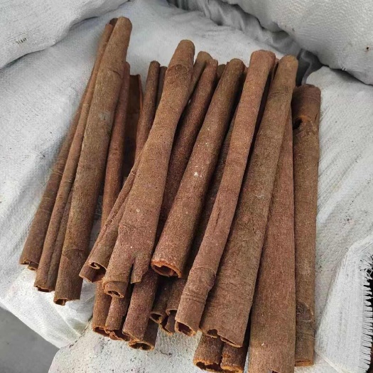 玉林广西桂皮香料