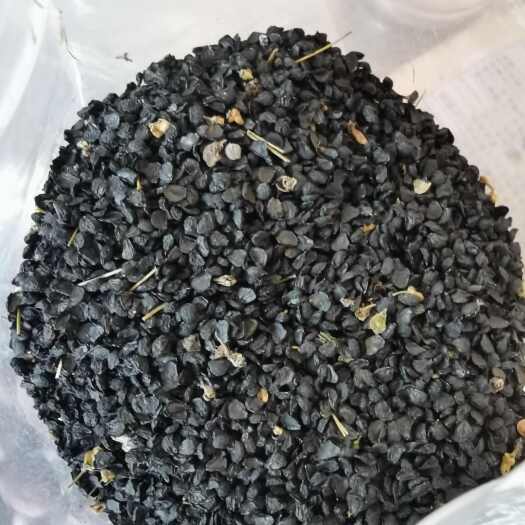 略阳县香韭菜种籽小细叶农家老品种香味浓郁四季田园阳台耐热寒蔬菜种子