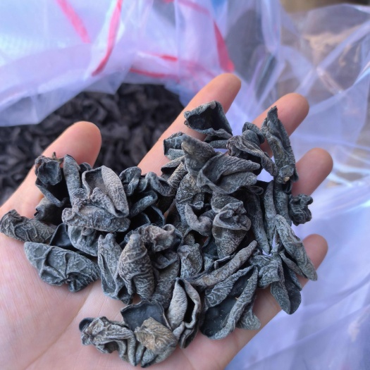 梧州老鼠耳，小碗耳干货