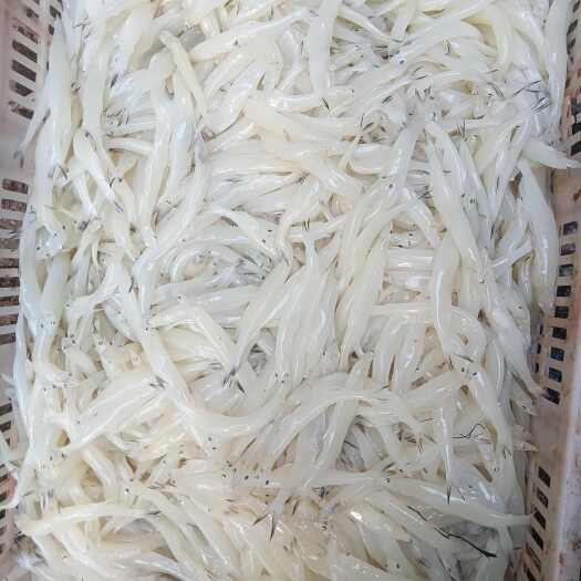 胶州市10月6号解冻质量斤两实测