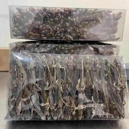 亳州壁虎 壁虎干 天龙 守宫干 一手货源批发零售