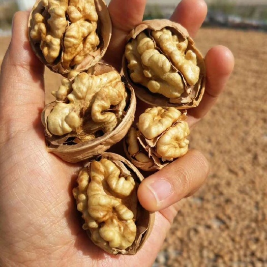 阿克苏原产地直发健康纸皮核桃炒熟干果坚果零食包邮