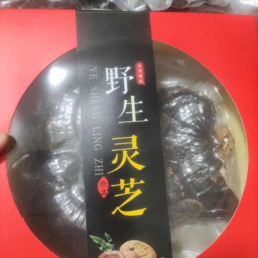 哈尔滨灵芝正品长白山种植芝灵芝片赤林芝茶可切片打
