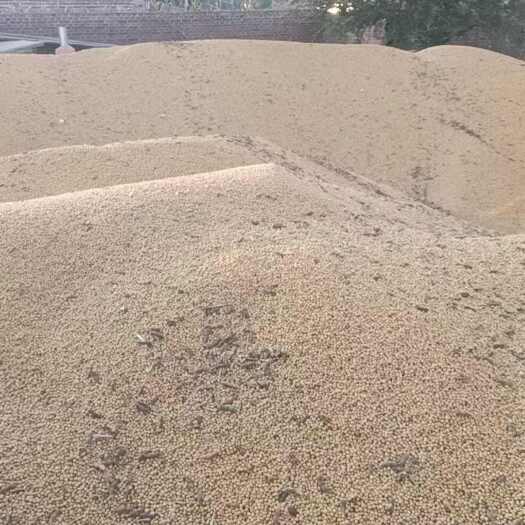 齐齐哈尔黄豆高蛋白   寻找一次性收购商 能到齐齐哈尔本地收的