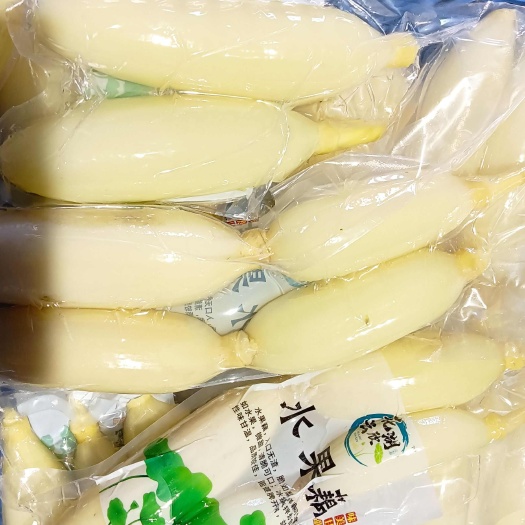 鄂州水果藕大量供应生吃脆甜，入口无渣，当天采摘发货