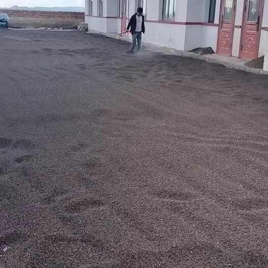 乌前旗荞麦现货，干货