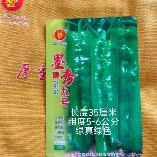 扶沟县墨秀九号牛角椒种子大果型果皮深绿上部果不变短抗逆性好