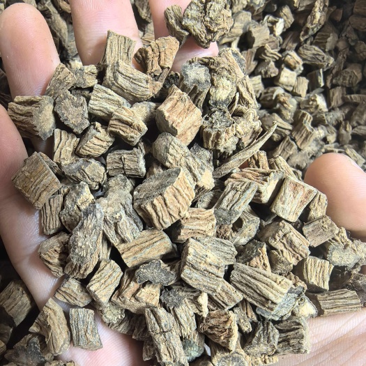 成都精品手工续断 各类中药材只做精品 欢迎各种合作
