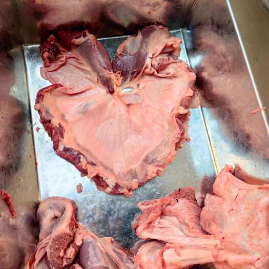 彭水护心肉