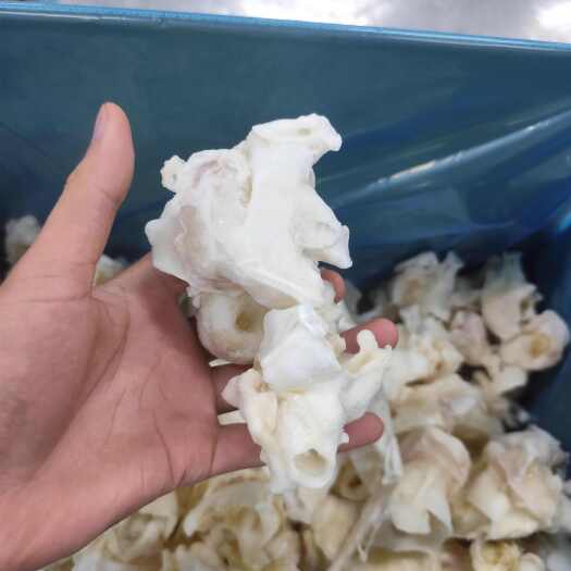 荣成市单冻鱿鱼脖