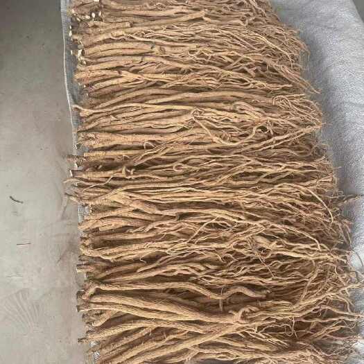 陇西县甘肃道地药材精品去头防风条，质量保证，物美价廉。