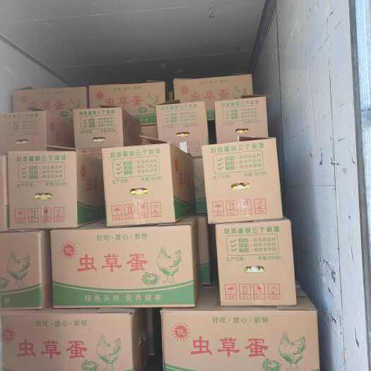 鄄城县精品粉蛋单色双色