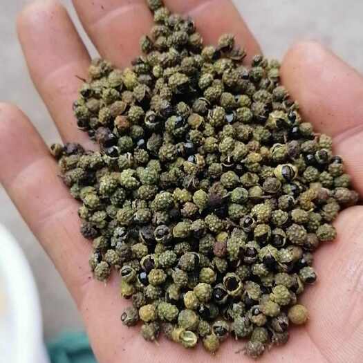 宁南县金阳青花椒青包子