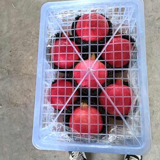 宾川县黑籽酸甜石榴