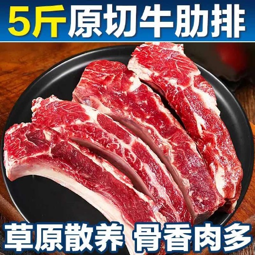 原切黄膘牛排内蒙古扇子骨牛排骨新鲜带肉牛肋排条牛仔骨牛肉生鲜
