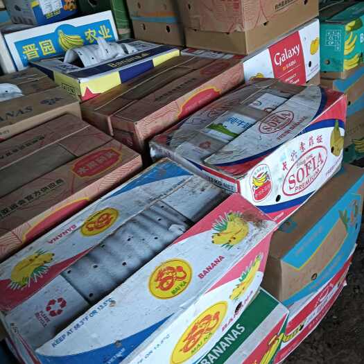 阜新县出售老品种地瓜！颜色好 口感甜