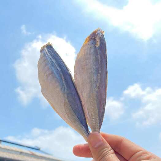 北海巴浪鱼干   咸鱼干