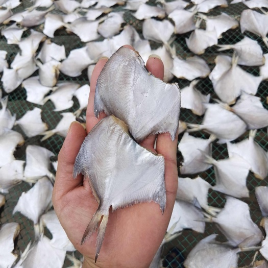 北海白鲳鱼干